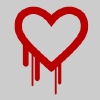 Heartbleed